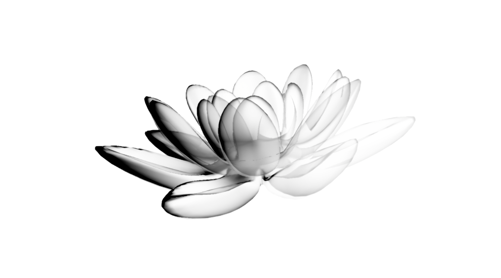Lotus flower painted as ink